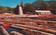 Logging old saw for sale  Phoenix