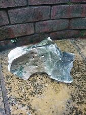 Coral rock interesting for sale  WARRINGTON