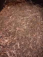Compost worms earth for sale  Hobbs