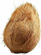 Mature coconut fresh for sale  INGATESTONE
