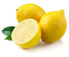 Lemonade lemon tree for sale  Shipping to Ireland