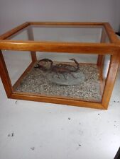 Aquarium scorpion géant d'occasion  Clermont-Ferrand-