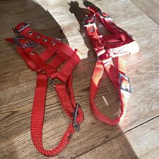 foal headcollar for sale  ACCRINGTON