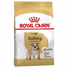 Bulldog inglese royal usato  Como