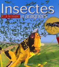 3405391 insectes araignées d'occasion  France