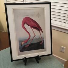 James audubon print for sale  Iowa City