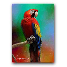 macaw art for sale  Pasco