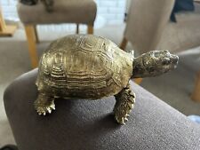 Gold sprayed tortoise for sale  FAREHAM