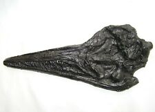 Replica fossil ichthyosaurus for sale  SWINDON