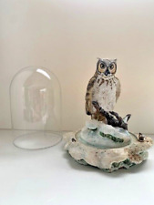 Great horned owl for sale  WELSHPOOL