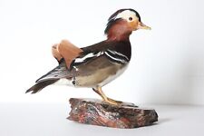 Taxidermy-hunting-chasse-präparat- Mandarin Duck with permit for sale  Shipping to South Africa