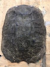 Large snapping turtle for sale  Shreve