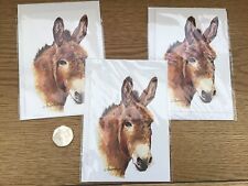 donkey cards for sale  GAINSBOROUGH
