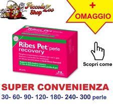 Ribes pet recovery usato  Manfredonia