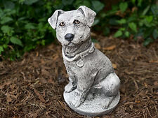 Jack russell terrier for sale  DAGENHAM