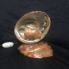 Vintage abalone pearl for sale  Rowlett
