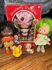 Strawberry shortcake dolls for sale  Des Moines