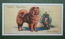 Usado, Cartão colorido ilustrado Chow Chow cachorro comestível vintage 1936 AD09 comprar usado  Enviando para Brazil