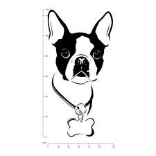Boston terrier halsband for sale  HOUGHTON LE SPRING