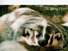 Postcard badger living for sale  MATLOCK