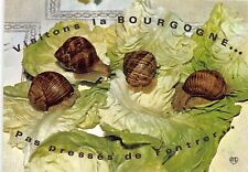 Escargots bourgogne 1033 d'occasion  France