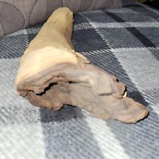 Driftwood aquarium root for sale  EDINBURGH