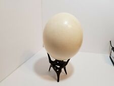 Domestic ostrich egg for sale  Arlington