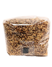 Mycelium Dream - A melhor bolsa de desova de cogumelos! - Substrato de crescimento 2 em 1 - Ry comprar usado  Enviando para Brazil