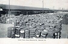 Postal SAVANNAH GA - Ocean Steamship Co. Cotton Yards - udb (antes de 1908) segunda mano  Embacar hacia Argentina
