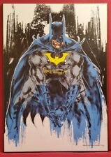 Batman blue grey for sale  Vienna