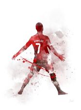 manchester united wall art for sale  WALSALL