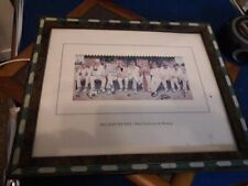 Village cricket nine for sale  ST. NEOTS