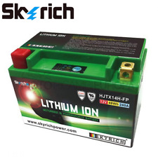 Skyrich batteria litio usato  Italia