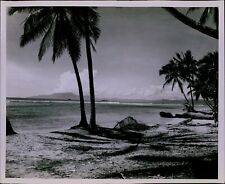 tropical paradise photograph for sale  Dixon