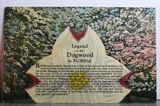 Florida legend dogwood for sale  Shipping to Ireland