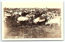 1930s reindeer herd for sale  Mount Airy