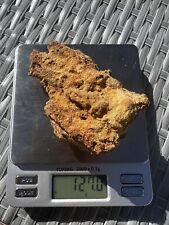 Rare fulgurite found for sale  Englewood