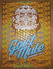 Govt mule summer for sale  Eugene