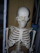 Anatomie skelett ständer gebraucht kaufen  Dresden