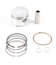 Piston kit standard for sale  Shipping to Ireland