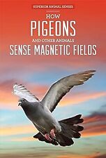 Pigeons animals sense for sale  UK