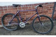 Raleigh summit retro for sale  DONCASTER