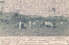 VENEZUELA Hacienda de Cana cultura cana-de-açúcar 1904 litho PC, usado comprar usado  Enviando para Brazil