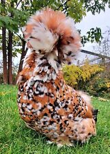 mille fleur rooster for sale  Alma
