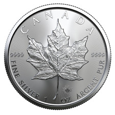 2020 maple leaf d'occasion  Marguerittes