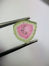 Tourmaline watermelon 47ct d'occasion  Langon