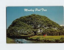 Postcard monkey pod for sale  Almond