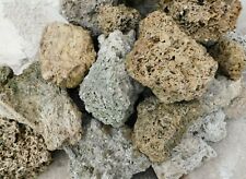 20kg korallen stein gebraucht kaufen  Gotha-Umland