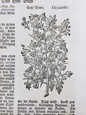 Botanique 1744 oxyacantha d'occasion  Tuchan
