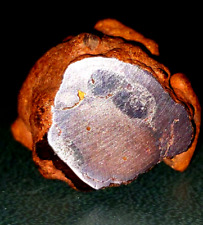17.5g iron meteorite for sale  Mc Gregor